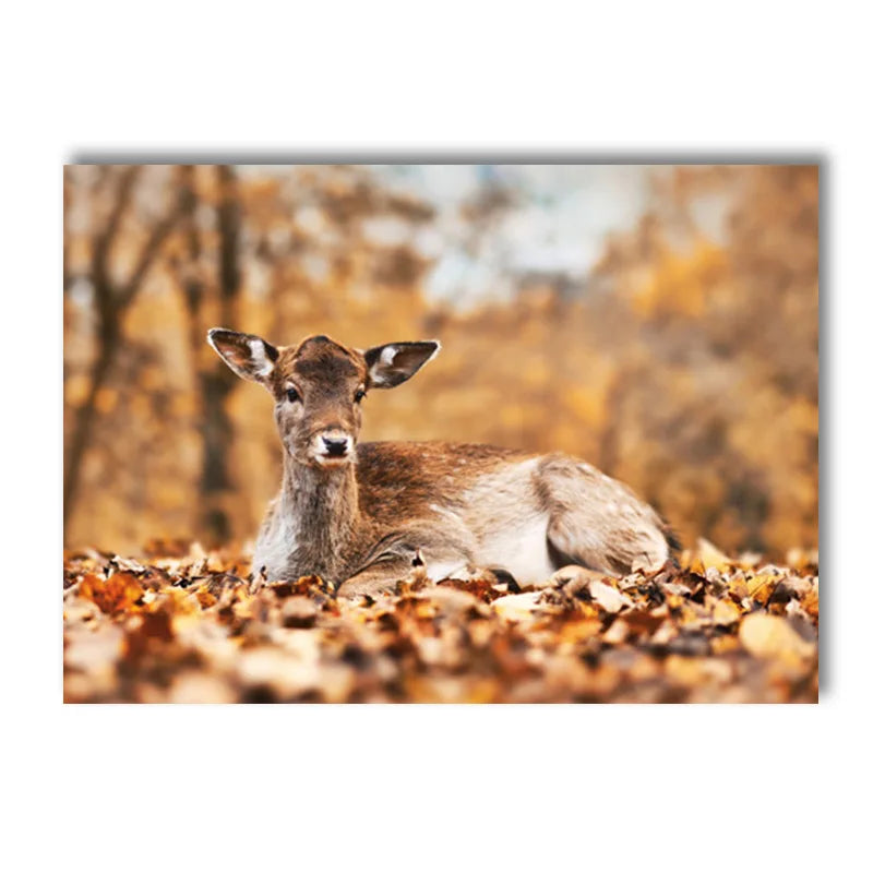 Autumn Landscape Pumpkin Leaves Squirrel Deer Wall Art Canvas